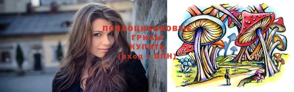 соль ск Долгопрудный