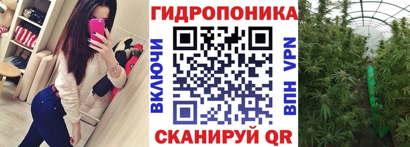 Шишки марихуана MAZAR наркота Заполярный